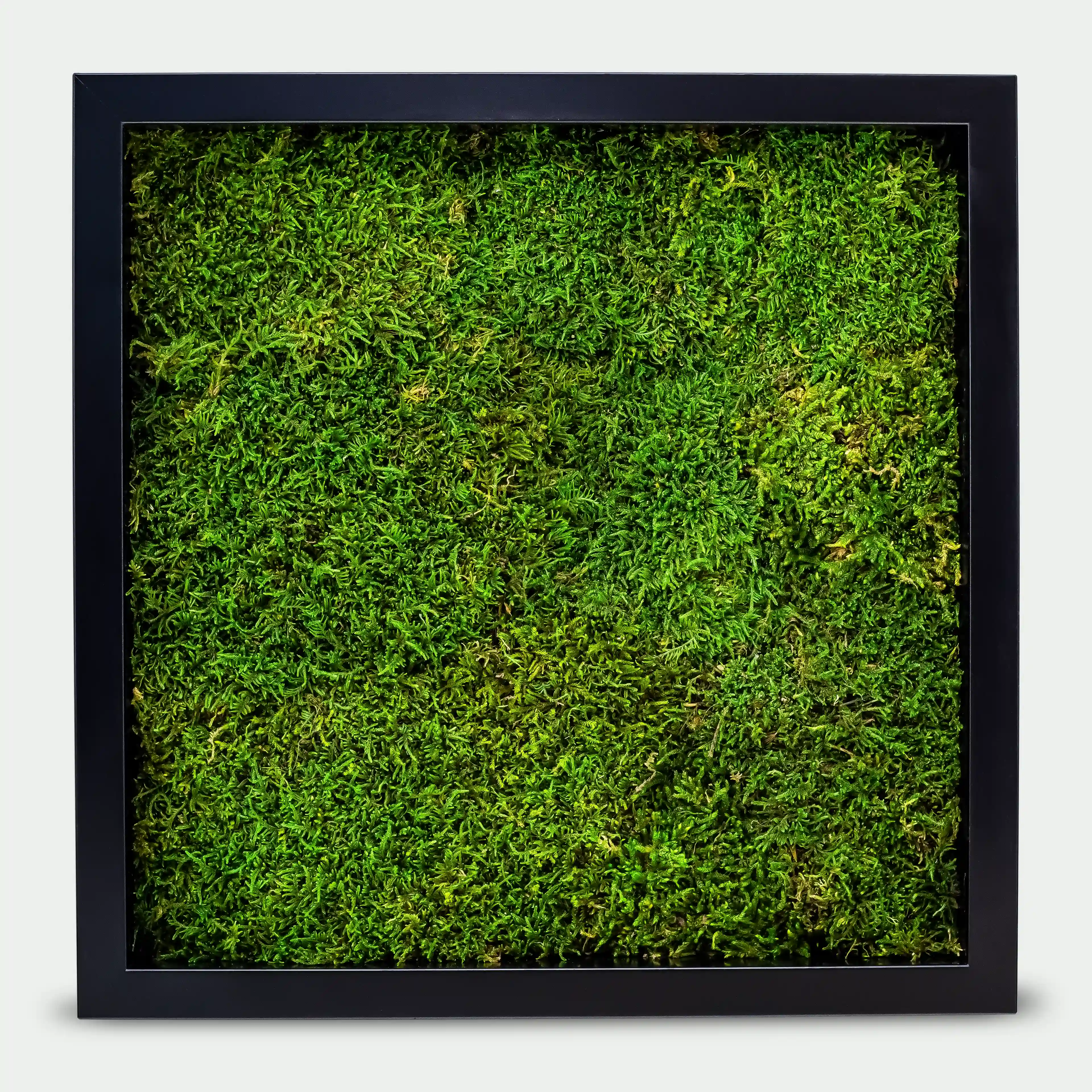 Quadratisches Flachmoosbild - 40 x 40 cm