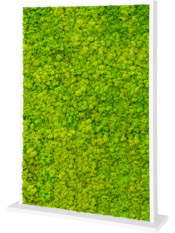 Trennwand weiß L120 x B30 x H160 cm - Islandmoos