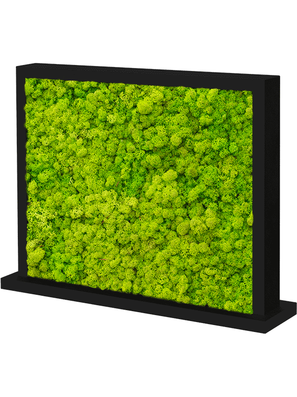 Trennwand schwarz L70 x B30 x H60 cm - Islandmoos
