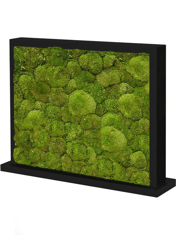 Trennwand schwarz L70 x B30 x H60 cm - Kugelmoos