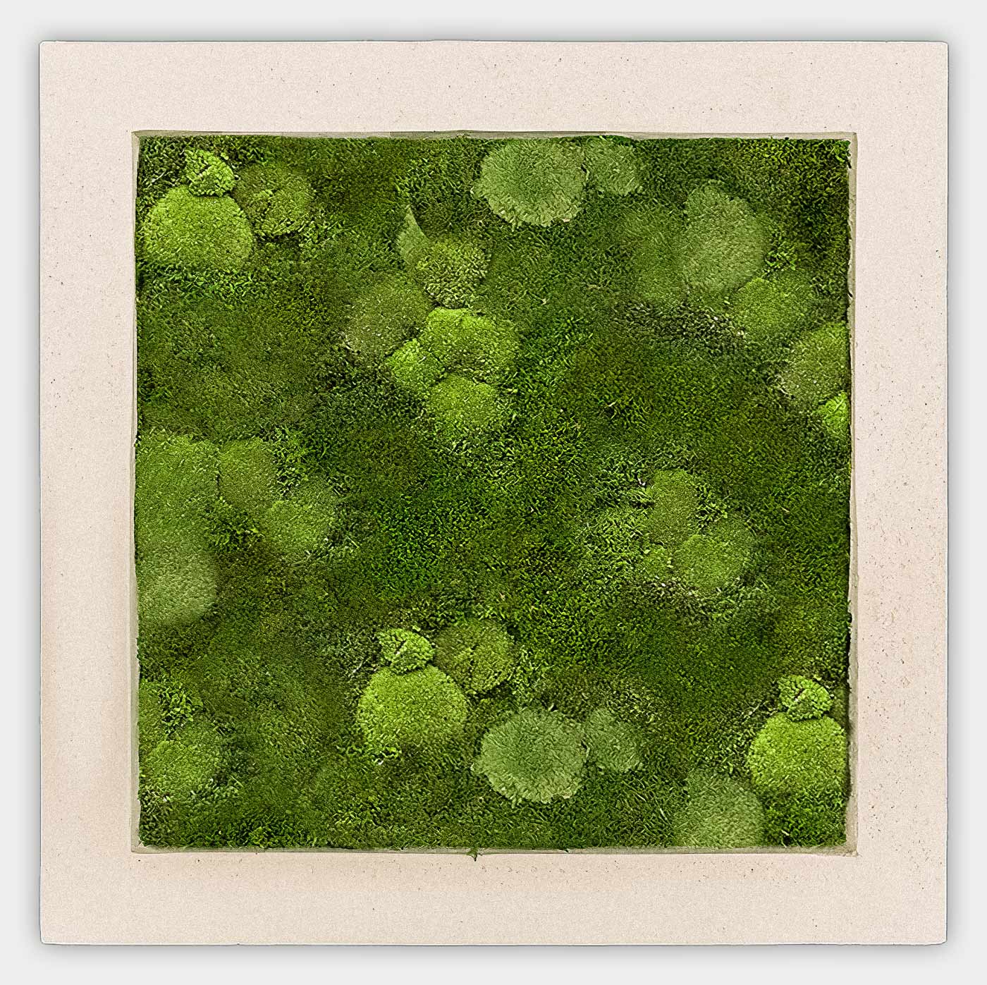 Quadratisches gemischtes Moosbild