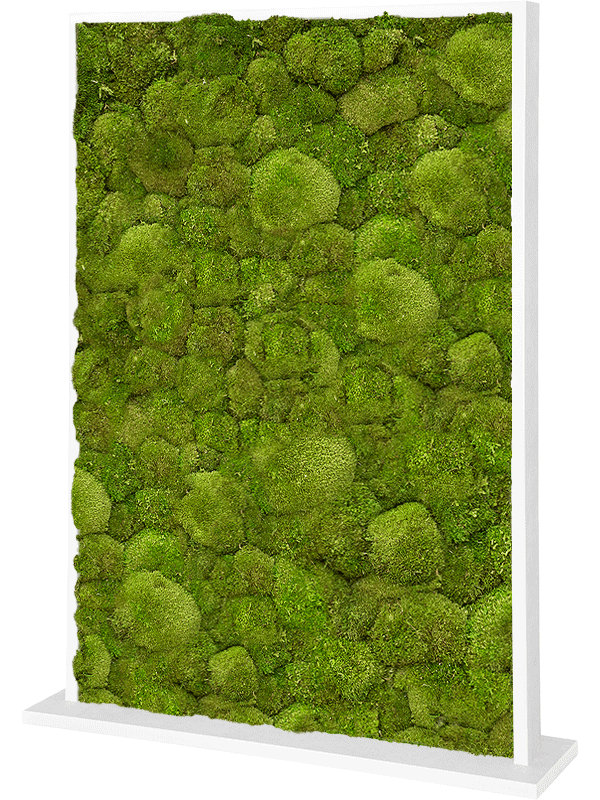 Trennwand weiß L120 x B30 x H160 cm - Kugelmoos