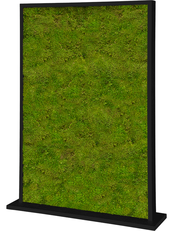 Trennwand schwarz L120 x B30 x H160 cm - Flachmoos