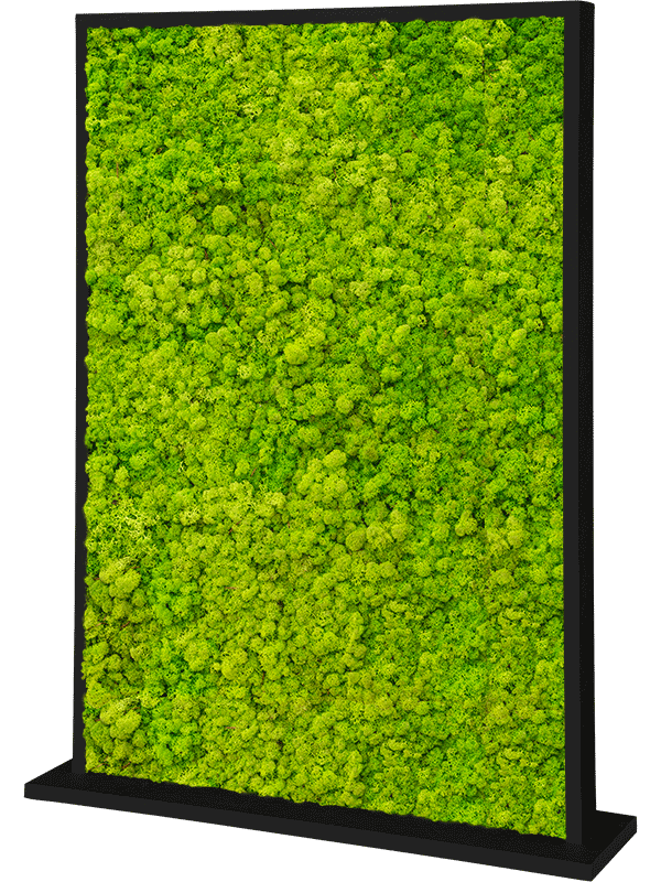 Trennwand schwarz L120 x B30 x H160 cm - Islandmoos
