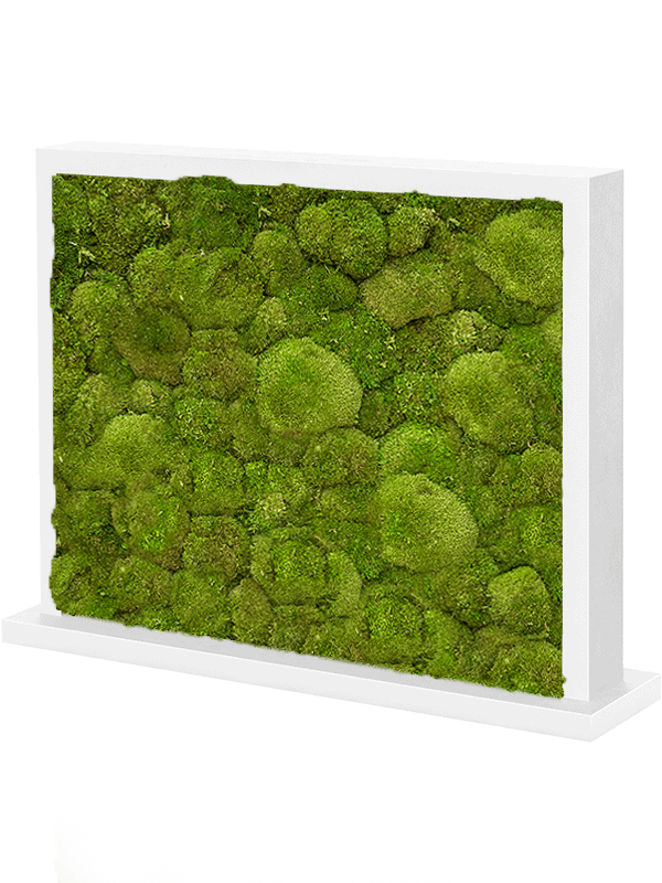 Trennwand weiß L70 x B30 x H60 cm - Kugelmoos