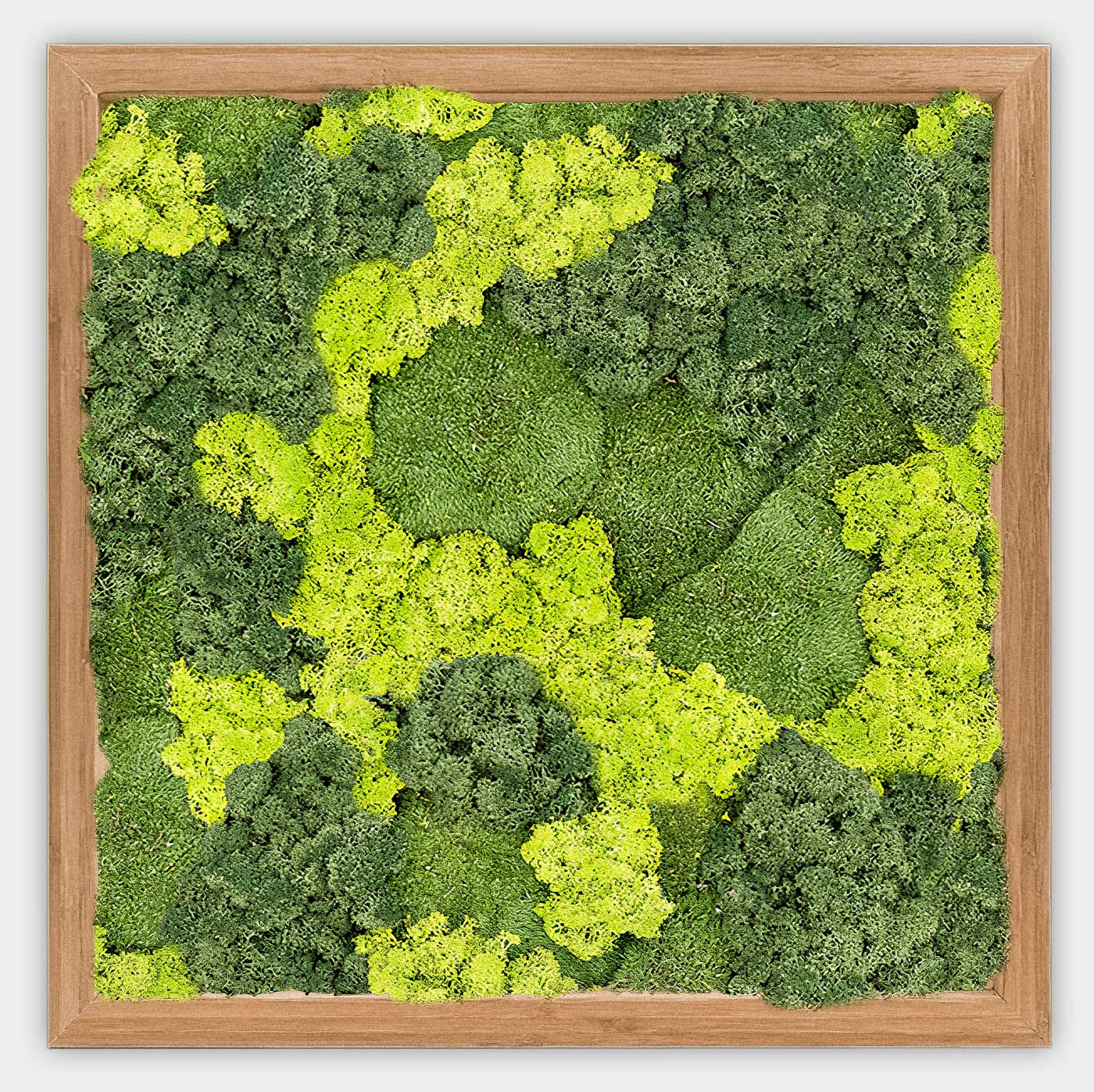 Quadratisches gemischtes Moosbild