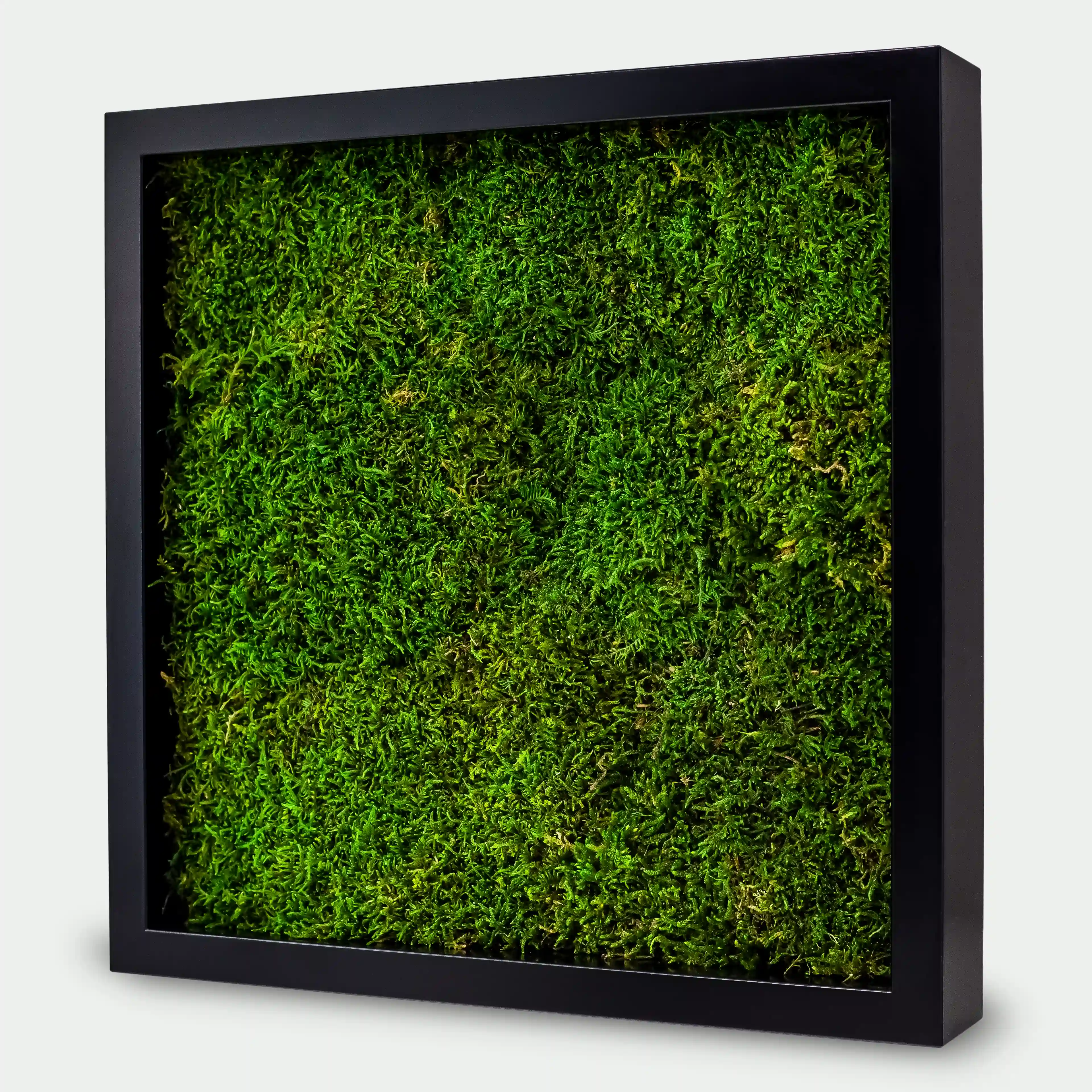 Quadratisches Flachmoosbild - 40 x 40 cm