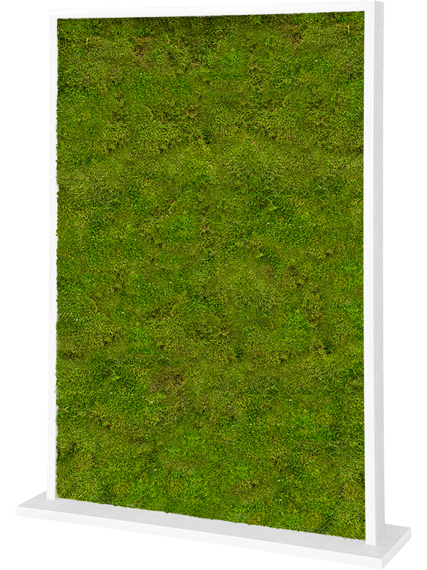 Trennwand weiß L120 x B30 x H160 cm - Flachmoos