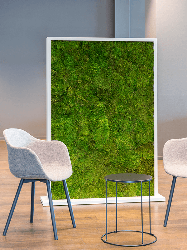Trennwand weiß L120 x B30 x H160 cm - Flachmoos