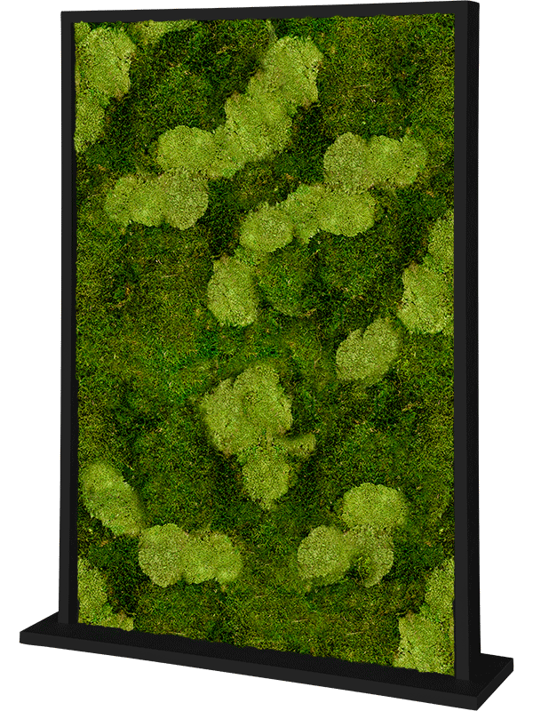 Trennwand schwarz L120 x B30 x H160 cm - Moos - Mix
