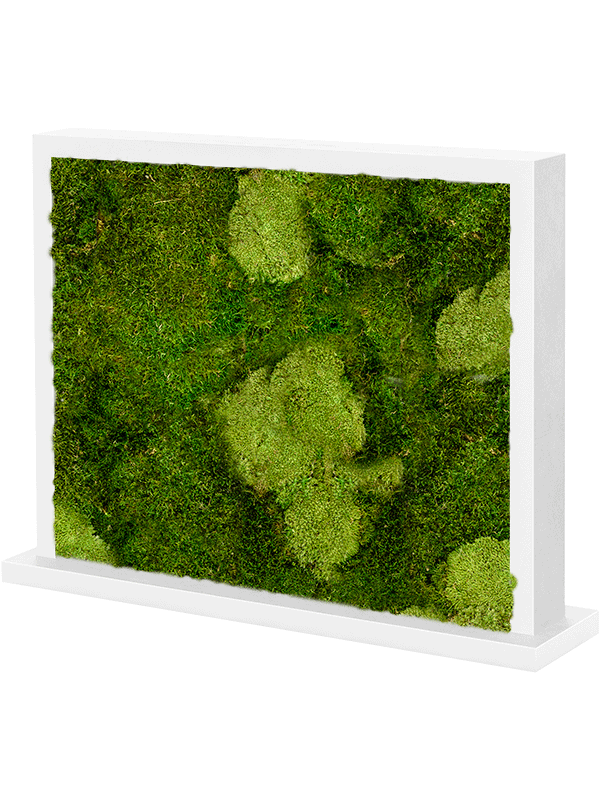 Trennwand weiß L70 x B30 x H60 cm - Moos - Mix