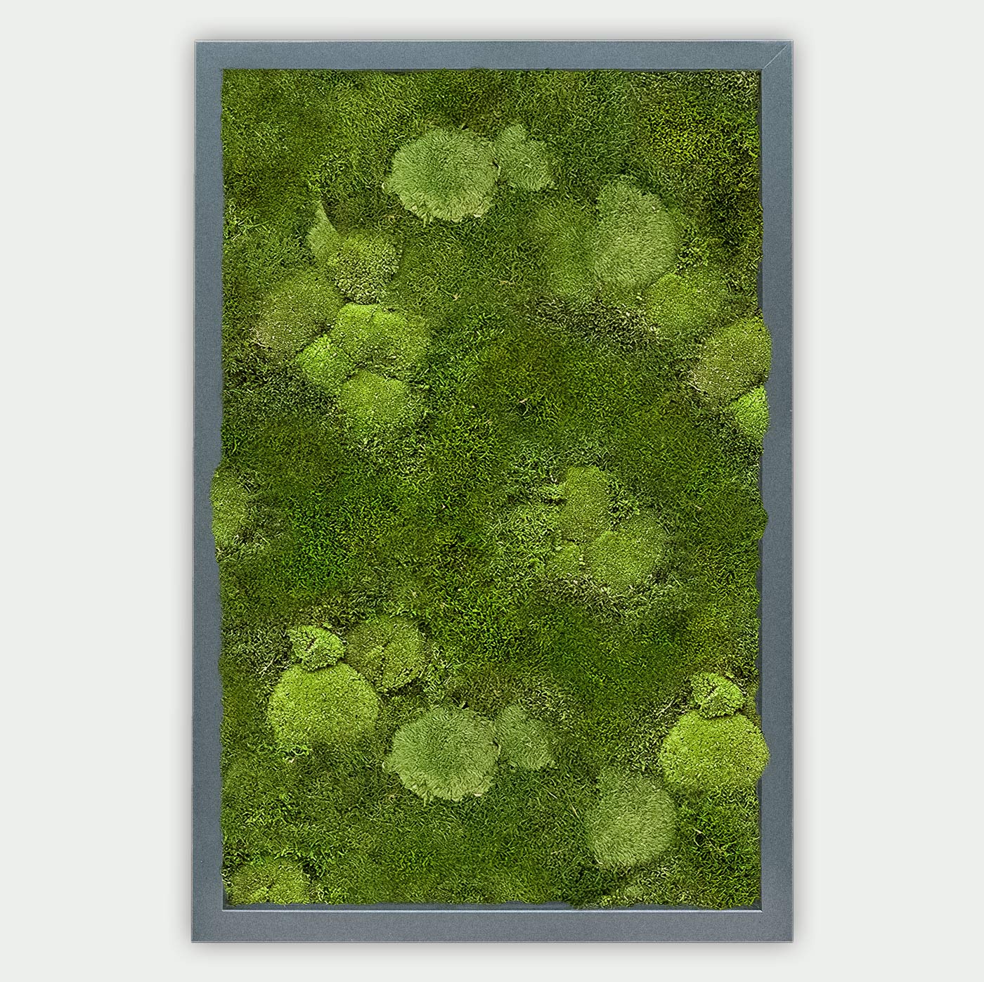 Rechteckiges gemischtes Moosbild