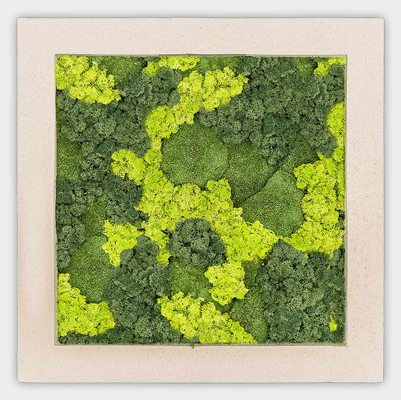 Quadratisches gemischtes Moosbild