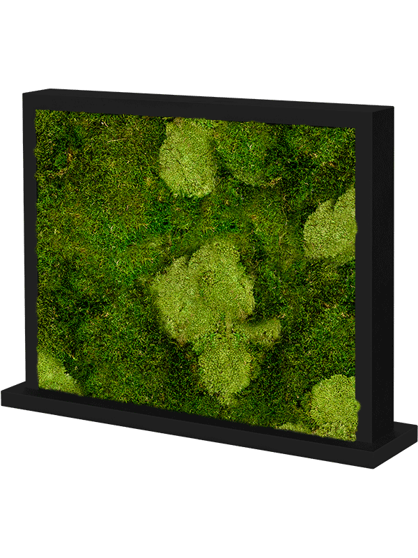 Trennwand schwarz L70 x B30 x H60 cm - Moos - Mix