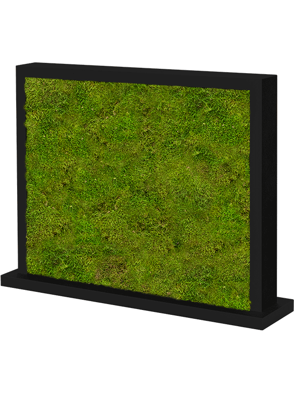 Trennwand schwarz L70 x B30 x H60 cm - Flachmoos
