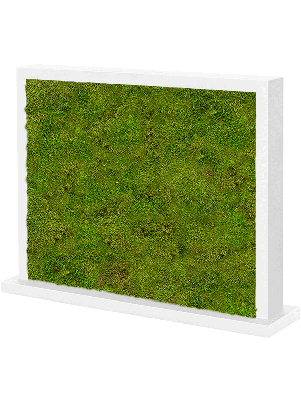 Trennwand weiß L70 x B30 x H60 cm - Flachmoos